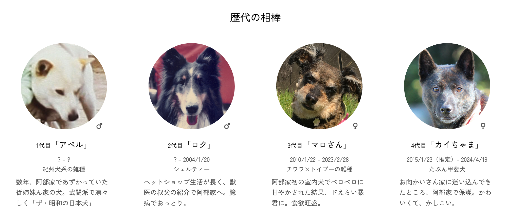 歴代の相棒